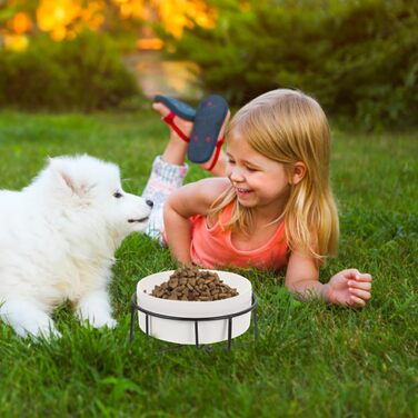 Миска для котячого корму POPETPOP з піднятою конструкцією та неслизьким дном, 14.5x8.5 см