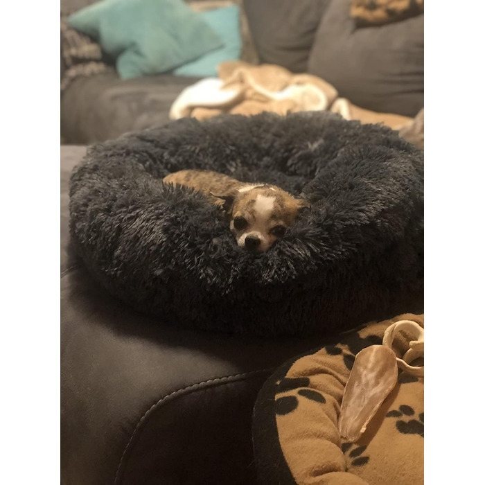 М'яке ліжко для собак Haoye, кругла подушка для домашніх тварин, ліжко-донат для котів та собак, миється, зручне ліжко для котів та собак (діаметр 50-120см / 7 розмірів), діаметр 70см (Чорний, діаметр 50см)