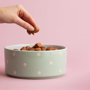 Миска для собак Mason Cash, з точками, 18 см, салатовий колір