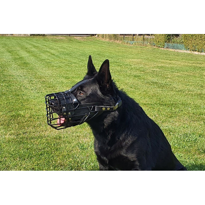 Пластиковий намордник Dingo Gear