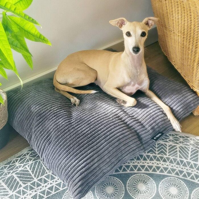 4L Textil ZOE: М'яке ліжко для собак з плюшу, 80x60 см, сірий (смужки), з блискавкою, для великих собак, зручне, миється