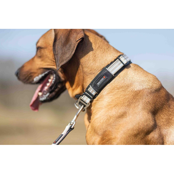 Вольтерс Ошийник Активний Про, розмір 45-52 см, колір шампань/чорний