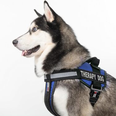 Шлея Dogline для собак з 2 знімними терапевтичними наліпками, розмір M (56-76 см), синя