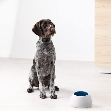 Навіс для собак Navaris Design з кераміки - велика миска для корму - миска для собак, миска для їжі - миска для кокер-спанієля та собак з довгими вухами - миска для собак з довгими вухами біло-блакитна