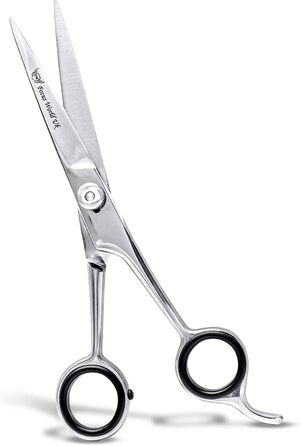 Професійні ножиці для волосся Focus World 6,5 дюймів (FW--01) - Японська сталь, срібло