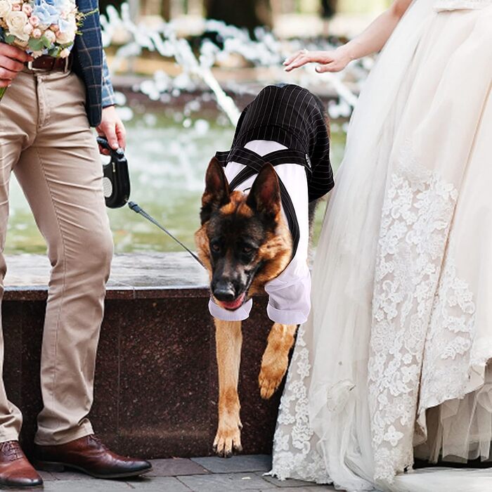 Смугастий костюм для собак ASENKU: смокінг з метеликом, формальний набір для свят, дня народження, чорний, XL-XXL