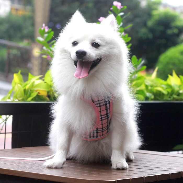 Нашийник для собак маленьких порід з повідком, анти-тягнучий, світловідбиваючий, дихаючий, нагрудник для цуценят (S, обхват грудей: 29-33см) (Рожевий в клітинку, XL (обхват грудей: 46-53см, вага: 8-10.5кг))