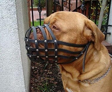 Легкий шкіряний намордник L&J Pets для Догу де Бордо та Бульмастифа, бежевий