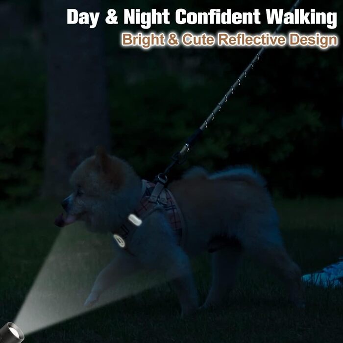 Шлейка та поводок для собак та котів BeautyzOO, м'яка сітчаста тканина, світловідбиваючі елементи, для цуценят та котів середніх та маленьких розмірів, в клітинку, XS/S, Бежевий (37-41 см обхват грудей)