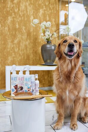 Щітка для собак Margot Schmitt з бамбука, GlanzFell