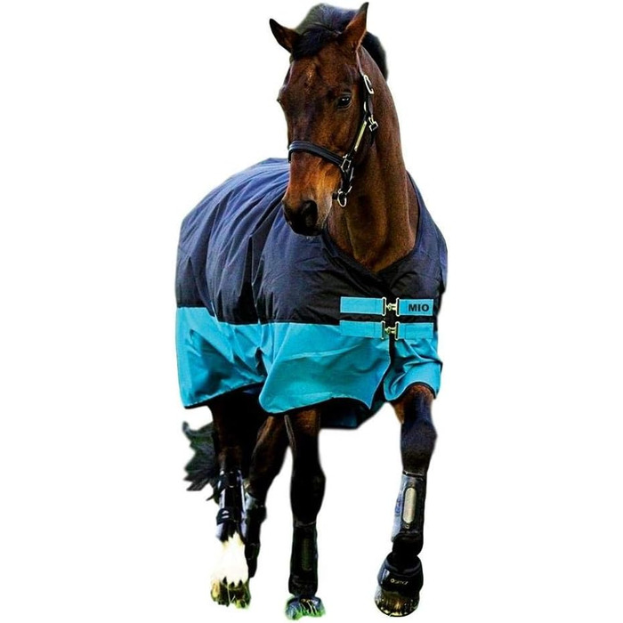 Зимова кінська попона Horseware Amigo Mio Turnout Medium, чорна/бірюзова, для пасовища