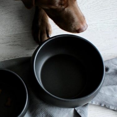 Керамічна годівниця для собак від hej.mo | 16 см діаметр, 0.9 л об'єм | Міцна, миється в посудомийній машині, стійка до подряпин та укусів | Для маленьких та середніх собак (Чорна)