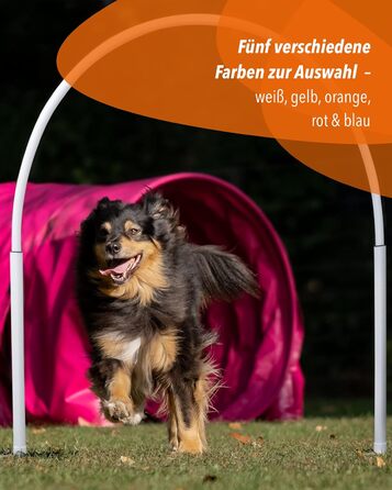 SPORTIKEL24 Superhund Hoopers Hoop – іграшка для аджиліті собак, кільця для хоперс, пластик, блакитна основа з кольоровими арками, VDH-сертифікована, гнучка, стійка до погодних умов (блакитний/жовтий)