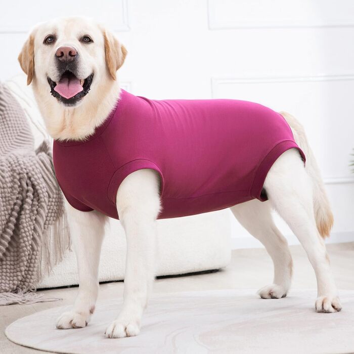 Захисний боді для собак після операції: захист рани, для сук та кобелів, Medica Pet Shirt, з застібкою-лямкою, альтернатива конусу та пов'язки, кольори S, Magenta