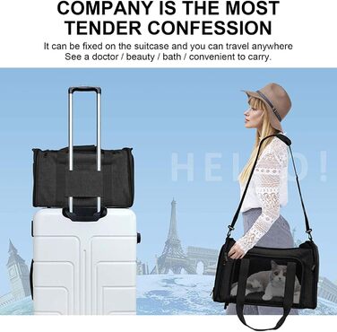 М'яка переноска для котів та собак, складана переноска для кота з дихаючою сіткою, оксфордська тканина зі шлейкою для маленьких собак, котів та кроликів (Чорний)