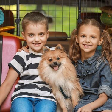 Сітка для собак у машину Relaxdays, універсальна, регульована ширина, чорна, 40 x 92-157 см