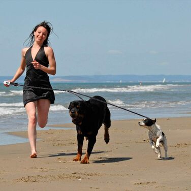 EXPAWLORER Подвійна висувна поводок для собак - з подвійним кріпленням, блокуванням, до 72.6 кг загальної ваги, 36.3 кг