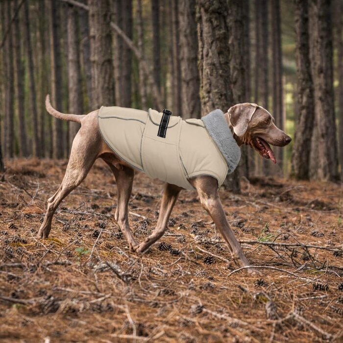 Теплий зимовий пуховик для собак Lelepet, водонепроникний, з флісовою підкладкою, світловідбиваючими елементами, отвором для шлейки, великий розмір XL, бежевий