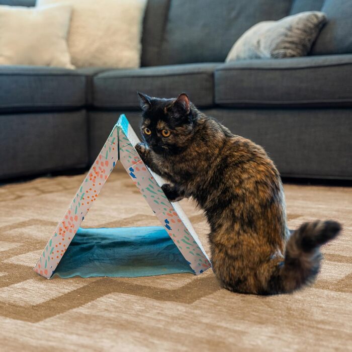 Catstages Easy Life Когтеточка-кровать з картону для котів, багато кольорів, універсальний розмір