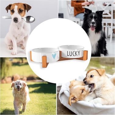 OWLBOOK Миска для собак з гравіюванням імені, подвійна миска для корму та води, кераміка, бамбук, 300 мл (синя зіркочка)