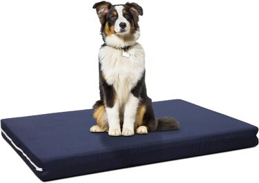 Ортопедичне ліжко для собак EvergreenWeb, середнього розміру | Ліжко для тварин з масажною наволочкою | Знімне та пральне собаче ліжко | Синій матеріал | PETLOVE M блакитне