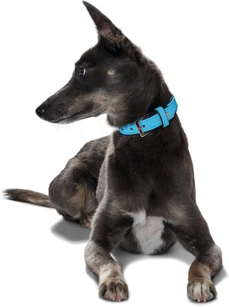 Нашийник для собак HUNTER SOFTIE, штучна шкіра, м'який, легкий у догляді, розмір L (50-55 см), колір: бірюзовий