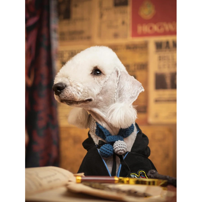 Костюм для собак та котів з окулярами та краваткою, косплей, Slytherin, розмір M