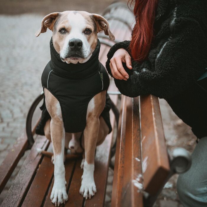 Теплий зимовий одяг для собак HUNTER Paxson: водонепроникний, з відбиваючими елементами, чорний, розмір 70