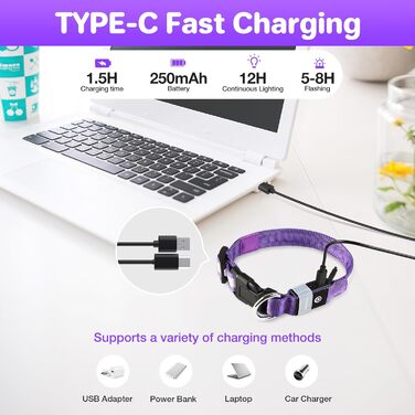 Світловідбиваючий нашийник для собак ASBRILL з USB-C, LED нашийник для собак, регульований, водонепроникний, 3 режими світіння, для малих, середніх та великих собак (L, фіолетовий)