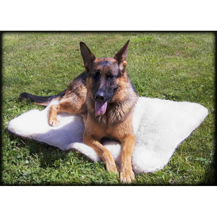 Activedogs Sherpa Hundebett: антибактеріальне, машинне прання, 46x51 см