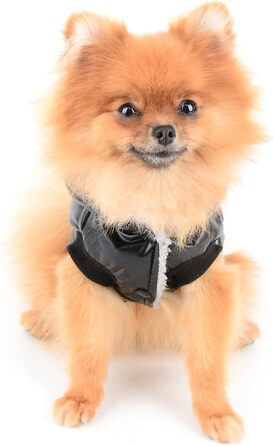 PAIDEFUL Зимовий теплий пуховик для собак - куртка з капюшоном для цуценят, чихуахуа, котів. Розмір M, чорний. Водонепроникний, захист від вітру. Довжина спини 25 см, обхват грудей 37 см.