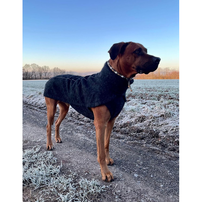 Теплий зимовий теплий одяг для собак EDEL&SCHNELL з вовни, чорного кольору з довгим коміром та світловідбиваючими елементами (60-65 см)