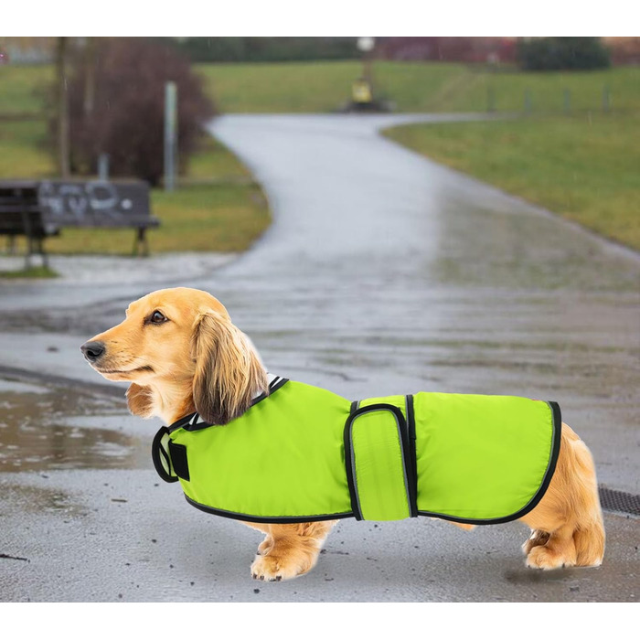Дощовик для собак Geyecete, регульований, водовідштовхувальний, для такс, з світловідбиваючими ремінцями, з реміннем на липучці, розмір M (довжина спини 42-45 см), зелений