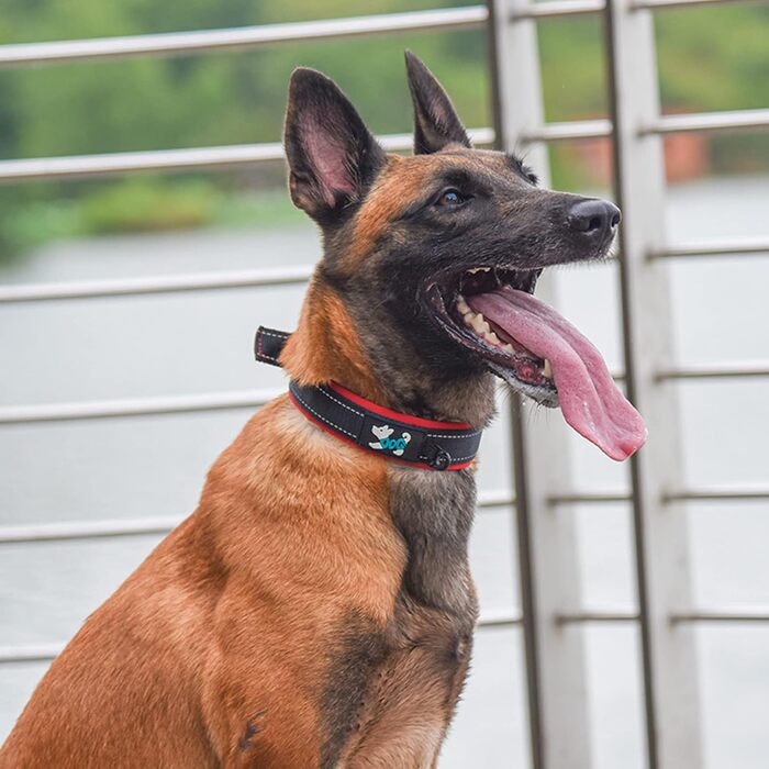 Pimaodog м'який неопреновий нашийник для собак, регульований, з відбивачем, нейлоновий, для великих порід, зелений