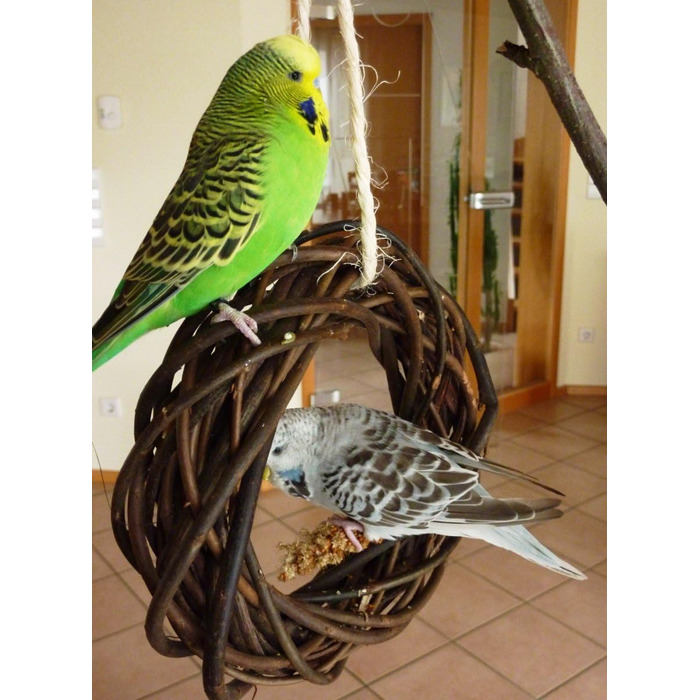 Дерев'яний іграшковий кілечко з лози для птахів (волинки, корели та ін.); Vogelgaleria®