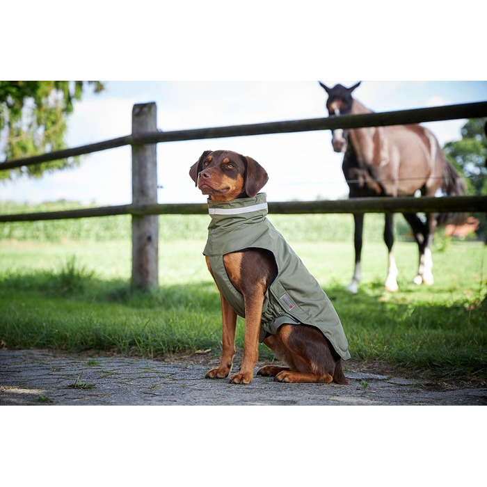 Вольтерс Куртка Outdoor Modern Classic, Оливковий, Розмір 40 см