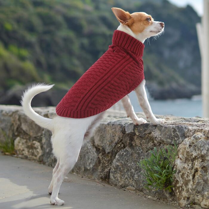 Теплий безрукавний светр для собак Citétoile з коміром-горловиною | М'який фліс, комфортний та дихаючий | Ідеальний для холодної погоди | Червоний, розмір M