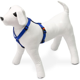 колір: блакитний