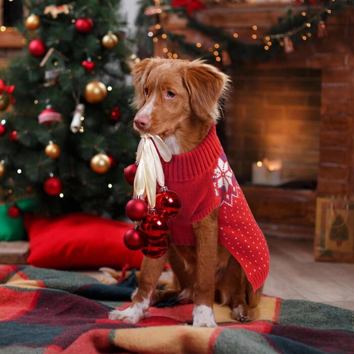 Пуловер для собак KATZINST, теплий флісовий пуловер на Новий рік, для Французького бульдога, такси, чихуахуа, йоркширського тер'єра, зелений/червоний (L)