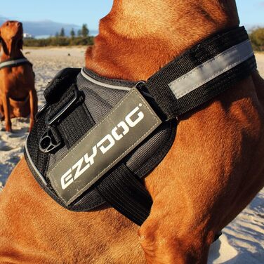 Шлея для собак EzyDog Convert червона L, міцна, зручна, для прогулянок, антикорозійний D-кільце