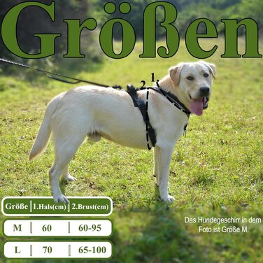 Нашийник для собак ILII - міцний, елегантний та комфортний. Унікальний дизайн для середніх та великих собак. Чорний, мінімальне покриття.