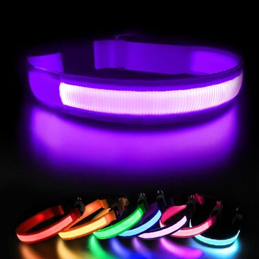 Світловідбиваючий нашийник для собак ASBRILL з LED підсвічуванням, USB-C, регульований, водонепроникний, для малих, середніх та великих собак (M, фіолетовий)