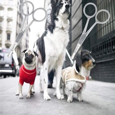 Професійна феншері для тварин BeautyTrack, пряма, з нержавіючої сталі, 10.2 см