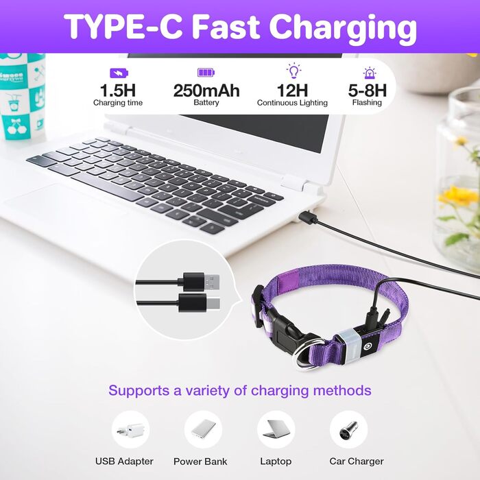 Світловідбиваючий нашийник для собак ASBRILL з USB-C, LED нашийник для собак, регульований, водонепроникний, 3 режими світіння, для малих, середніх та великих собак (L, фіолетовий)