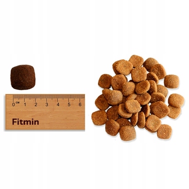 Сухий корм для собак великих порід Fitmin Dog for Life Adult, 12 кг