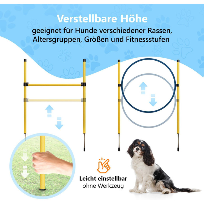 Набір для аджиліті для собак Huskl Agility Set: тунель, стійки, кільце, коробка для відпочинку. Аксесуари для аджиліті та тренувань собак.
