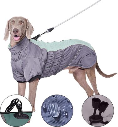 Зимові куртки для собак з шлейкою, теплі та зручні для холодної погоди. Відображають світло, підходять для малих, середніх та великих собак. Куртка, жилет, тепла шерсть, комфортний вибір для вашого улюбленця.