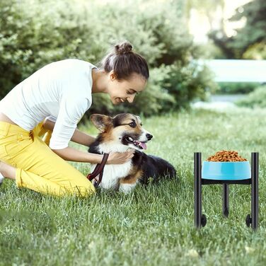 Підвищена годівниця для собак з платформою, регульована висота 6-10 дюймів, з наклейкою для імені, для домашніх тварин