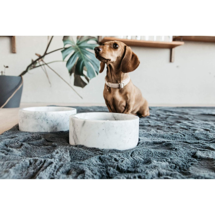 Миска для собак Kentucky Dogwear Marble, велика, біла