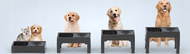 Миска для собак та котів: антиковзаюча, з регульованою висотою підставки та системою сповільнення їжі